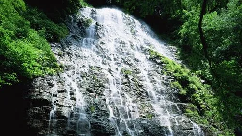 可靠性高效